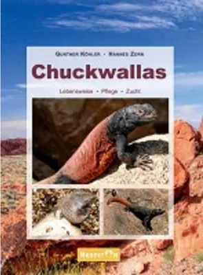 Image de Chuckwallas