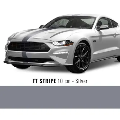 Image de Stripes bande adhésive pour voiture TT argent 10 cm x 10 mt