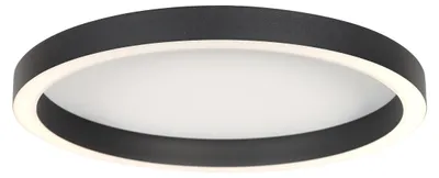 Produktbild von Steinhauer - deckenleuchte - Ringlux - schwarz - metall - Ø 40cm - LED - 4135ZW