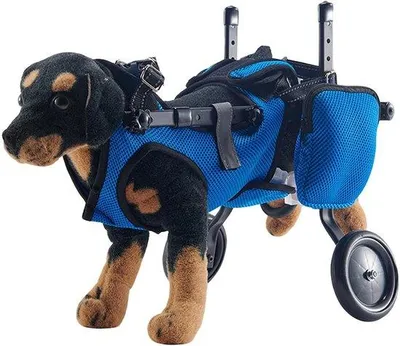 Productafbeelding van Hond wandelwagen voor achterpoten - Verstelbaar en lichtgewicht