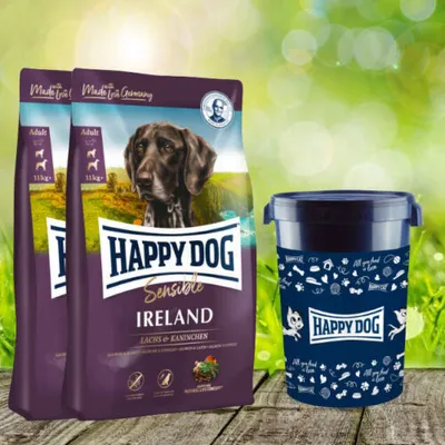 Two bags of dog food and a dog food storage container are displayed on a wooden surface with a blurred green background.
