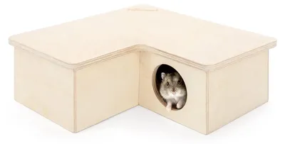 Productafbeelding van Hamsterhuis met 3 kamers - Geschikt voor dwerghamsters