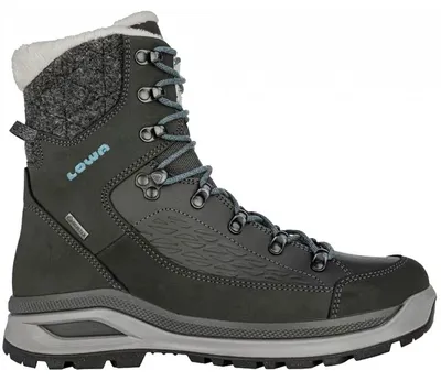Produktbild von Lowa Renegade Evo Ice GTX Damen 39