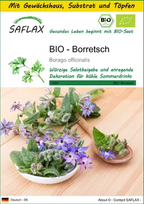 Produktbild von SAFLAX Anzucht Set - BIO - Borretsch - Borago officinalis - 40 Samen - Mit Mini-Gewächshaus, Anzuchtsubstrat und 2 Töpfen