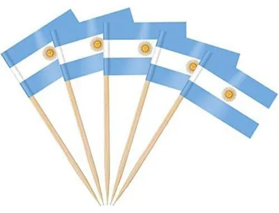 Productafbeelding van Tandenstokervlaggen, Argentinië, 100 stuks, papier, hout, 3,5 x 2,5 cm