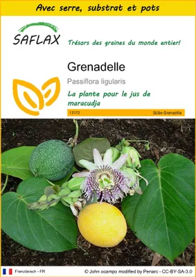 Image de SAFLAX Ensemble de culture - Grenadelle - 20 graines - Passiflora