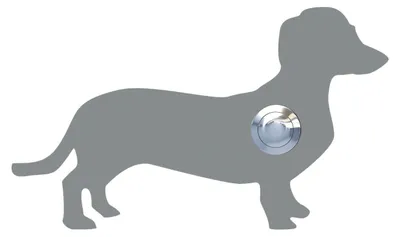 Produktbild von Türklingel Hund ''Charly'' in Grau Metallic