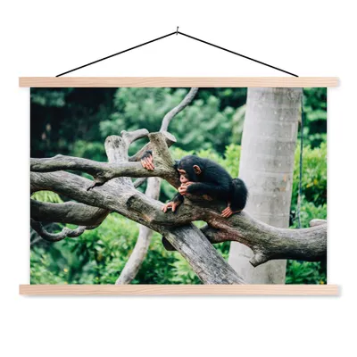Produktbild von MuchoWow® Textilposter Junger Schimpanse im Dschungel 60x40 cm mit holzfarbenen Rahmen - Bilder