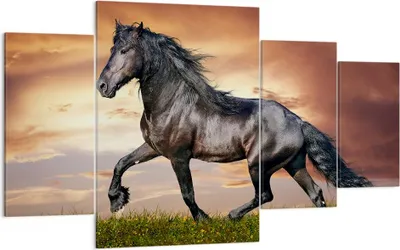 Produktbild von Bild auf Leinwand - Leinwandbild - Pferd Tier Wiese - 160x90cm - Wand Bild - Wanddeko - Wandbilder - Leinwanddruck - Bilder - Kunstdruck - Wanddekoration - Leinwand bilder - Wandkunst - DL160x90-2608