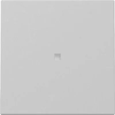 Produktbild von GIRA Wippe 3290015 Kontrollf.Sys.55 gr m (3290015)