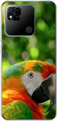 Produktbild von König Design Hülle kompatibel mit Xiaomi Redmi 10A Kunststoff Soft Handyhülle - Handy Case Papagei