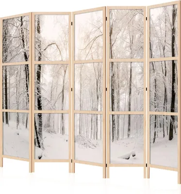 Produktbild von LUMASOUL Paravent Einseitiger, Paravent Raumteiler Innen, Winter Motiv, 225x172 cm