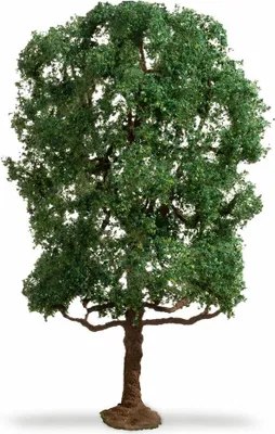 Immagine prodotto di NOCH Albero di castagno / Castagno 19cm