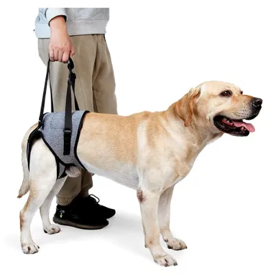 Produktbild von Hundehebegeschirr für die Hinterbeine, weiche Unterstützungsschlaufe für verletzte und behinderte kleine, mittlere und große Hunde