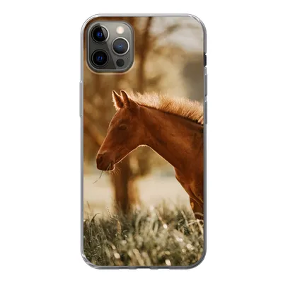 Produktbild von MuchoWow® Handyhülle Schutzhülle Hülle für iPhone 12 Pro Max Pferd - Licht - Wiese Silikon Softcase Handy Hülle - Hartschale
