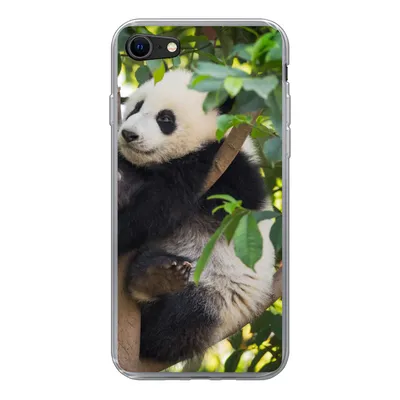 Produktbild von MuchoWow® Handyhülle Schutzhülle Hülle für iPhone 8 Panda - Tier - Baum Silikon Softcase Handy Hülle - Schutzhaube
