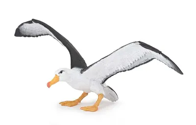 Zdjęcie produktu dla Papo 56038, 3 lat(a), Marine life, Czarny, Biały, PCW