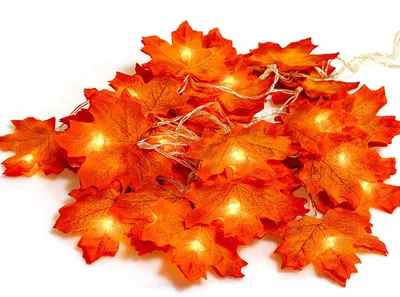 Produktbild von 3 M 20 Lichter Herbstgirlande,Ahornblatt Lichterketten,herbstdekoration Garland für Erntedankfest Weihnachtsbeleuchtung