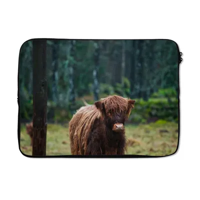 Produktbild von MuchoWow® Laptop Hülle 14 ZollSchottischer Hochländer - Wald - Moos Laptoptasche - Laptoptasche - Stoßsicher - Schutzhaube