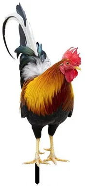 Produktbild von Metallenes Vogel und Huhn Gartenstatue – Außen Dekoration für Garten, Terrasse und Küche (Typ A)