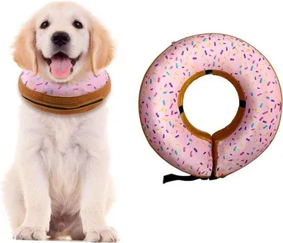 Produktbild von Famanu Halsband für Katzen - rosa L - Postoperative Heilungskegel für Wunden nach der Chirurgie