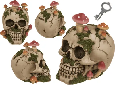 Produktbild von OOTB Spardose mit Schloss Totenkopf mit Pilzbewuchs