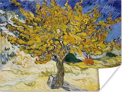 Produktbild von MuchoWow® Poster Maulbeerbaum - Vincent van Gogh 160x120 cm - Foto Plakat