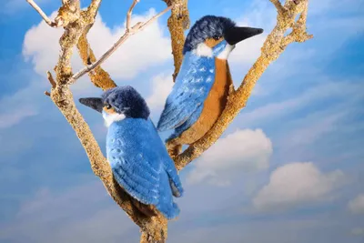 Two plush toy kingfishers perched on a branch against a sky background.