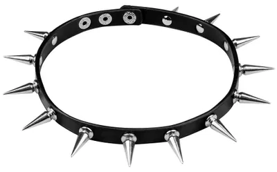 Produktbild von Spikes Halsband