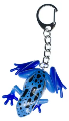 Produktbild von Frosch Schlüsselanhänger Blauer Baumsteiger Miniblings Anhänger Giftfrosch Blau