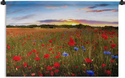 Produktbild von MuchoWow® Wandteppich Wandbehang Blumen - Sonnenuntergang - Farben 120x80 cm Tapisserie Dekoration Wandtuch - Wanddekorationen - Wandtücher