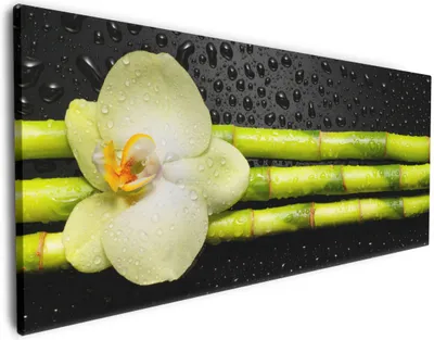 Produktbild von Wallario Premium Leinwandbild Grüne Orchidee mit Bambus auf schwarz - Regentropfen in Größe 80 x 200 cm