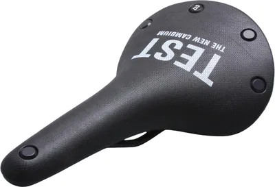 Produktbild von Brooks Herren Fahrradtestsattel Cambium C17 All Weather, Schwarz
