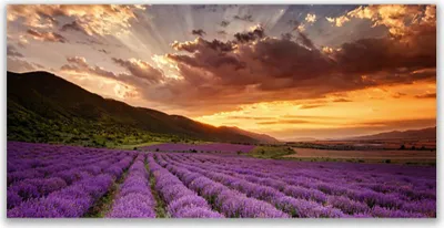 Produktbild von Acrylglasbilder 120x60 Wandbild Druck Gebirge Wiese Blumen Landschaft