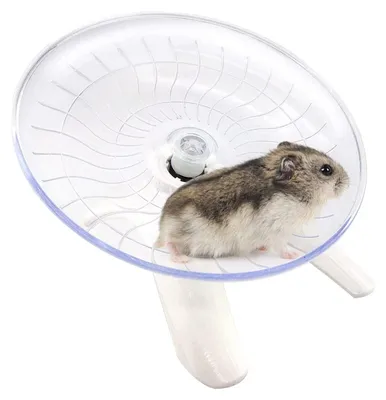 Image de Omgoods - Hamster silencieux en forme d'ovni, 18 cm