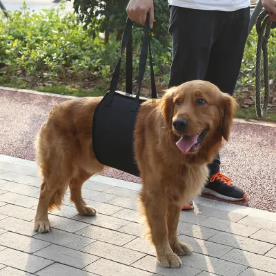 Image de Élévation du chien noir et soutien de la sangle de rééducation avec poignée pour les aides canines (en)