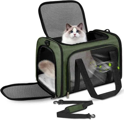 Productafbeelding van Transporttas voor kat en hond - Opvouwbare hondentransportbox voor middelgrote honden en katten - Draagbare kattentas - Groen - L 50 x B