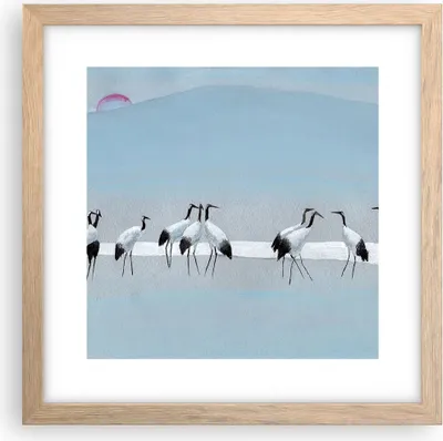 Produktbild von Gerahmtes Poster - Rahmen in heller Eiche - Vögel Kraniche Natur - 30x30 cm - Wand Bild - Wanddeko - Wandbilder - Kunstposter - Wandposter - Bilderrahmen - Bilder - Kunstdruck - P2NAC30x30-4921