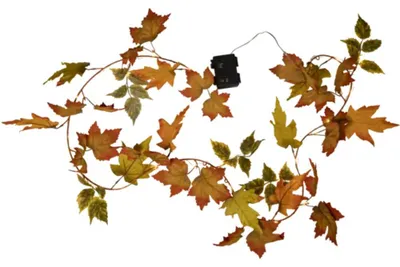 Produktbild von Star Trading Autumn, Leichte Dekorationskette, Orange, 30 Glühbirne(n), LED, 0,34 W, Warmweiß