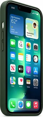 Produktbild von Apple MM1G3ZM/A, Cover, Apple, iPhone 13 Pro, 15,5 cm (6.1"), Grün