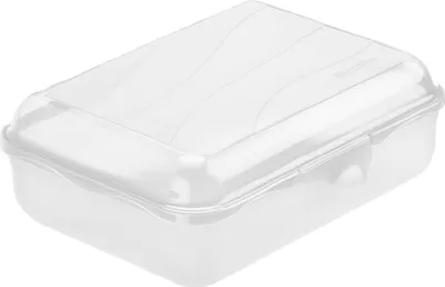 Produktbild von Rotho Fun Lunchbox 1,25 l Transparent