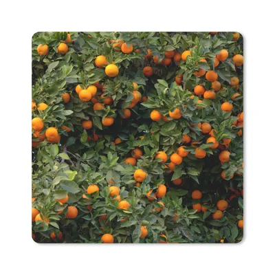 Produktbild von MuchoWow® Mauspad Mousepad Orange - Baum - Frucht 30x30 cm - Mousepads - Maus Mat - Pad - Mausunterlage - Gaming