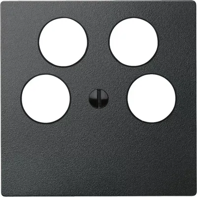 Produktbild von Merten Zentralplatte anth 295314