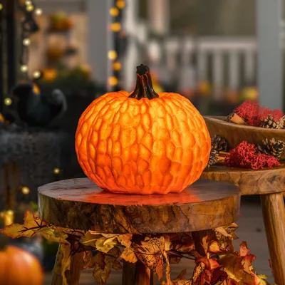 Produktbild von esotec Solarleuchte Kürbis Dekoleuchte Kürbis ⌀20cm DUO COLOR Halloween 102683