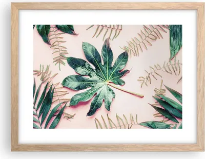 Produktbild von Gerahmtes Poster - Rahmen in heller Eiche - Blatt Tropisch Palme - 40x30 cm - Wand Bild - Wanddeko - Wandbilder - Wandposter - Bilderrahmen - Bilder - Kunstdruck - Wandbild - P2NAA40x30-4314
