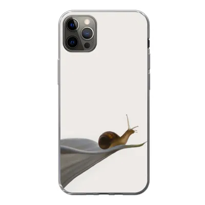 Produktbild von MuchoWow® Handyhülle Schutzhülle Hülle für iPhone 12 Pro Max Schnecke - Lilie - Grau Silikon Softcase Handy Hülle - Hartschale