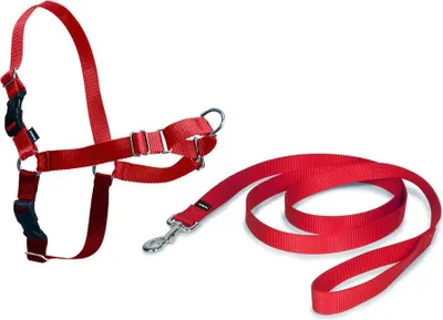 Produktbild von Gurtzeug PetSafe Easy-Walk RED HARNESS SIZE XL