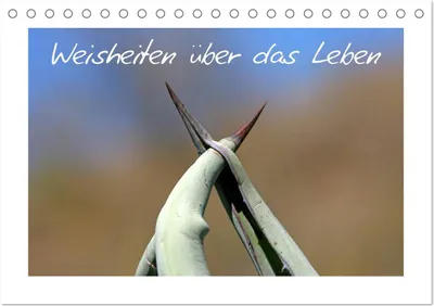 Produktbild von Weisheiten über das Leben (Tischkalender 2025 DIN A5 quer), CALVENDO Monatskalender