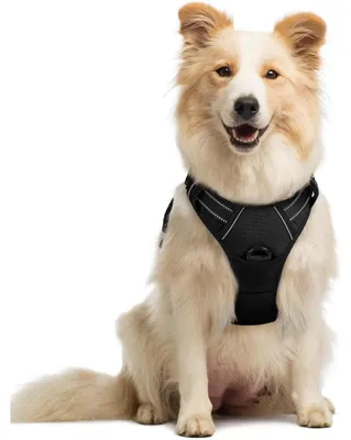 Produktbild von Hundegeschirr Anti-Zug mit Kontrolle, verstellbar, atmungsaktiv, reflektierend, Schwarz, Größe M