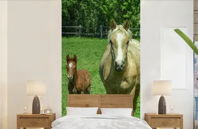 Produktbild von MuchoWow® Fototapete für Wohnzimmer oder Schlafzimmer Wandtapete Vinyl Motivtapete Pferd - Fohlen - Tiere - 120x240 cm - Hintergrundbild
